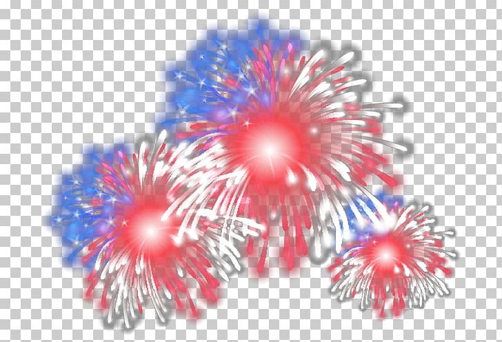 Petal PNG, Clipart, Cartoon Fireworks, Circle, Festival, Firework, Fireworks Free PNG Download