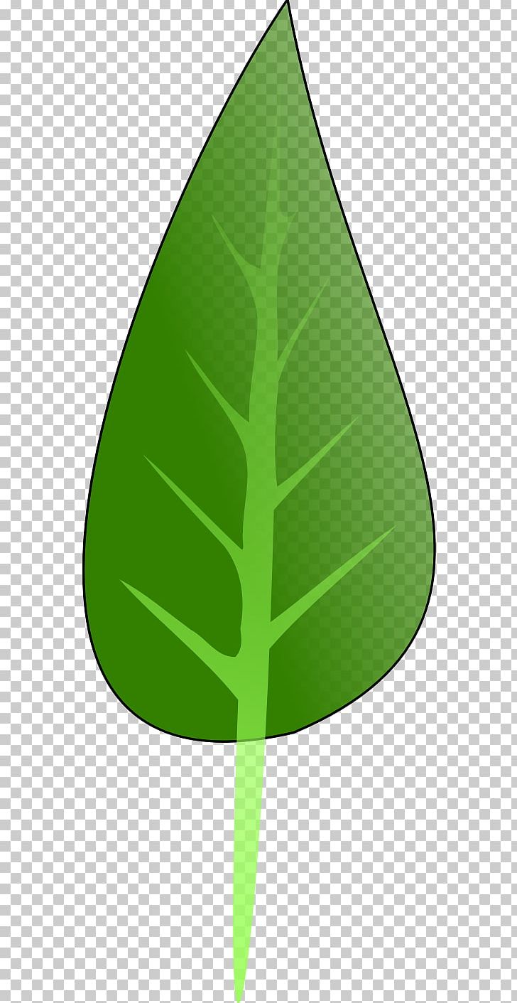 Product Design Leaf Triangle Green PNG, Clipart, Angle, Art, Clip, Cone, Grass Free PNG Download