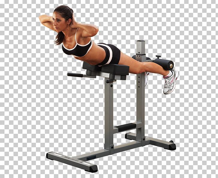Roman Chair Hyperextension Exercise Strength Training Fitness Centre PNG, Clipart, Abdomen, Abdominal External Oblique Muscle, Aparat, Arm, Exercise Free PNG Download