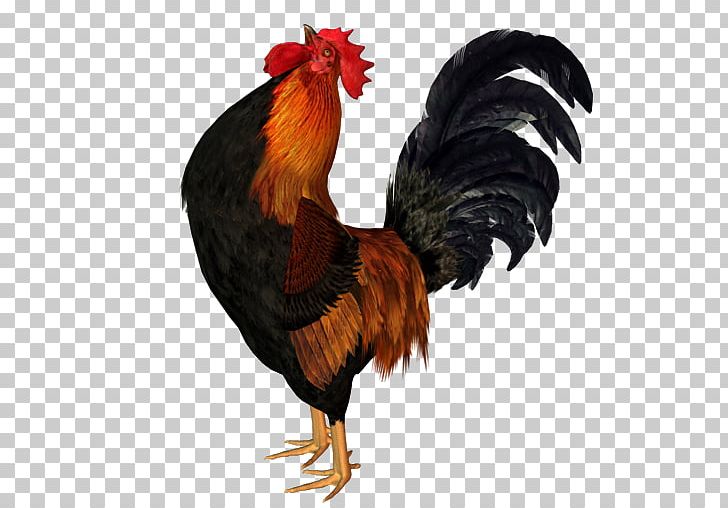 Rooster Chicken Galliformes Sticker PNG, Clipart, 2017, Animaatio, Beak, Bird, Chicken Free PNG Download