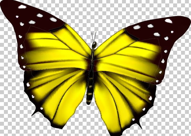 Butterfly Flower PNG, Clipart, Adobe Illustrator, Arthropod, Brush Footed Butterfly, Butterfly, Col Free PNG Download