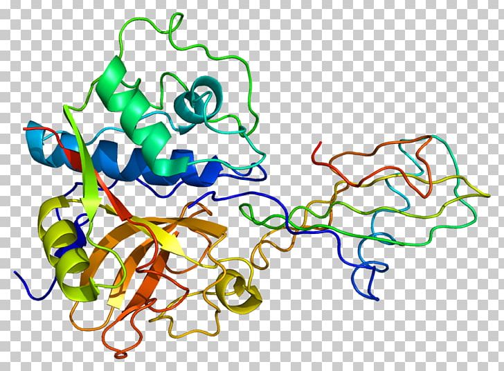 Cystatin B Cathepsin B Protein Papain PNG, Clipart, Area, Art, Artwork, Cathepsin, Cstb Free PNG Download