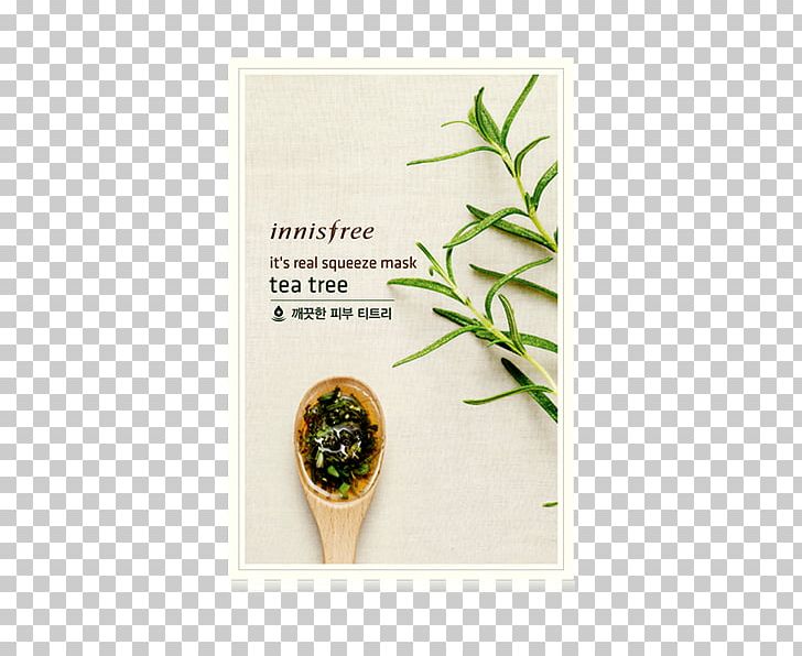 Tea Tree Oil Innisfree Mask Tea Plant PNG, Clipart, Art, Camellia, Cosmetics, Cosmetics In Korea, Facial Free PNG Download