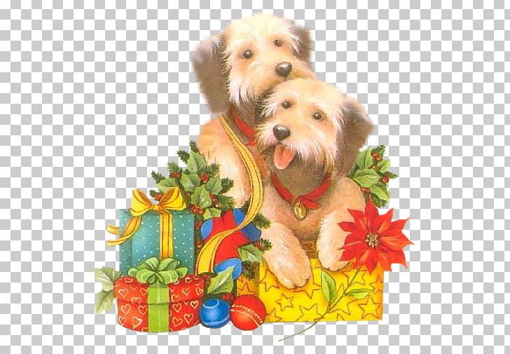 Yorkshire Terrier Norfolk Terrier Schnoodle Puppy Dog Breed PNG, Clipart, Animals, Carnivoran, Christmas, Christmas Ornament, Companion Dog Free PNG Download