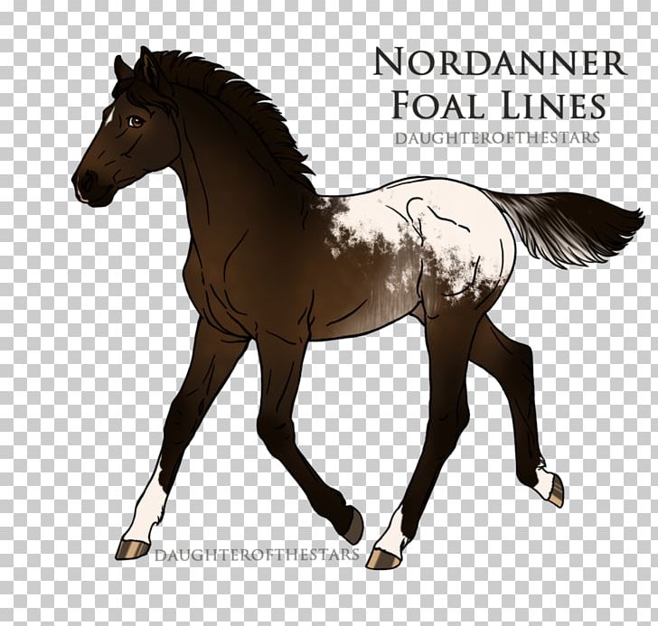 Mustang Stallion Pony Foal Mare PNG, Clipart, American Saddlebred, Arabian Horse, Art, Bastard, Bridle Free PNG Download