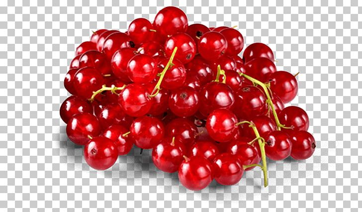 Lingonberry Zante Currant Berries Fruit Boysenberry PNG, Clipart, Berries, Berry, Blackberry, Boysenberry, Cherry Free PNG Download