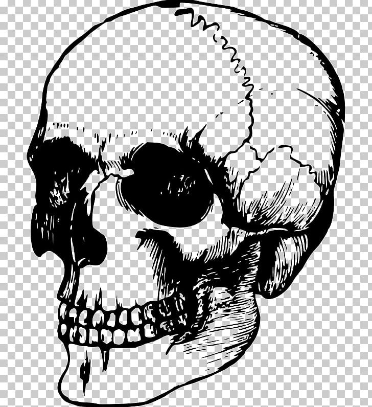 Skull Drawing PNG, Clipart, Art, Artwork, Black And White, Bone, Cartoon Free PNG Download