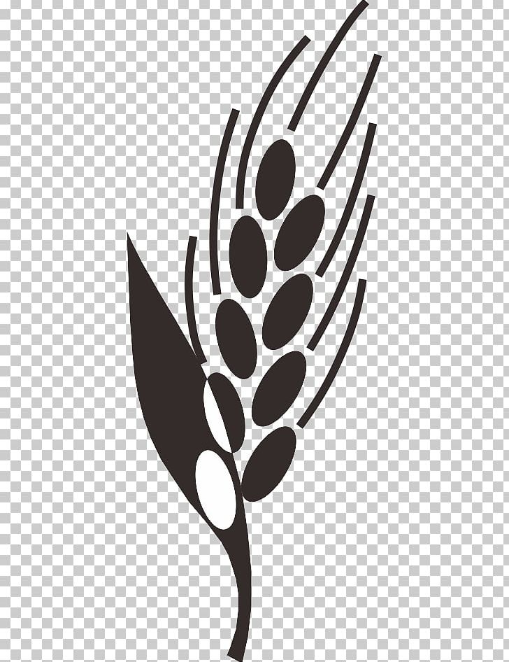 Black And White Paddy Field Rice PNG, Clipart, Barley, Branch, Caryopsis, Download, Encapsulated Postscript Free PNG Download