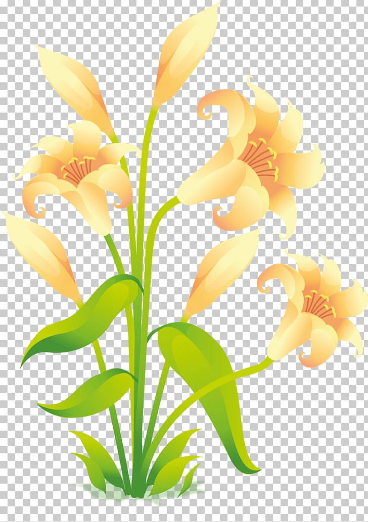 Flower Easter Lily PNG, Clipart, Aquarium Decor, Calas, Canna Family, Canna Lily, Cattleya Free PNG Download