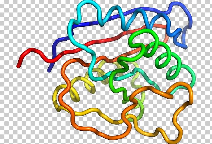 Organism Line PNG, Clipart, Area, Art, Line, Organism, Text Free PNG Download