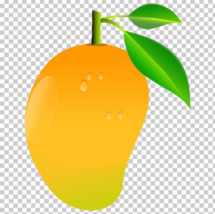 Mango PNG, Clipart, Mango Free PNG Download