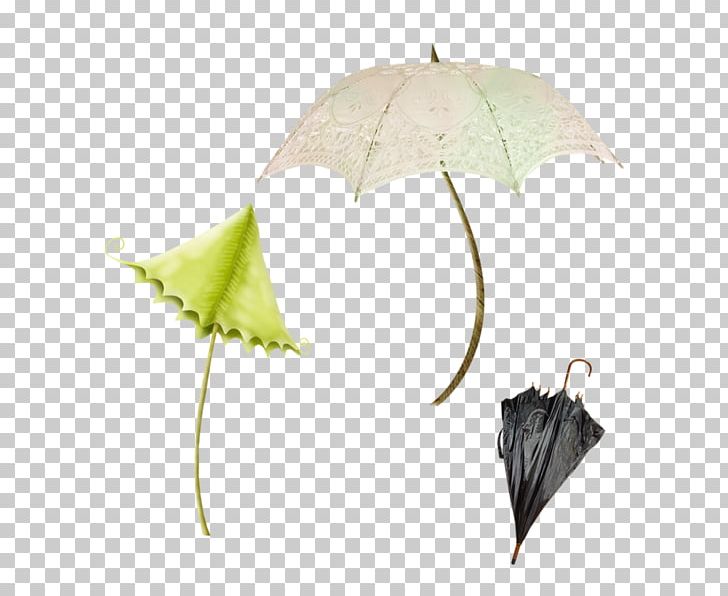 Umbrella Email PNG, Clipart, Beach Umbrella, Black, Black Umbrella, Download, Email Free PNG Download