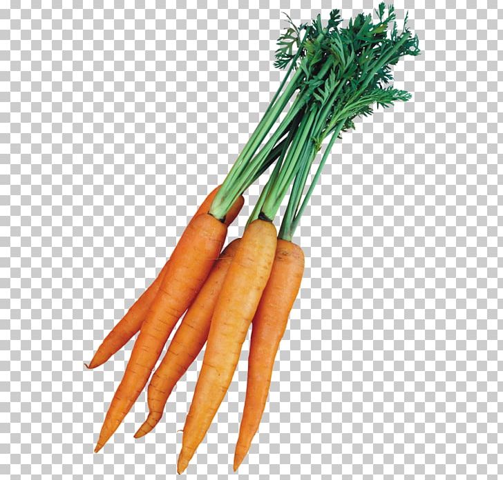 Carrot Vegetable Presentation PNG, Clipart, Baby Carrot, Carrot, Celeriac, Daucus Carota, Digital Image Free PNG Download