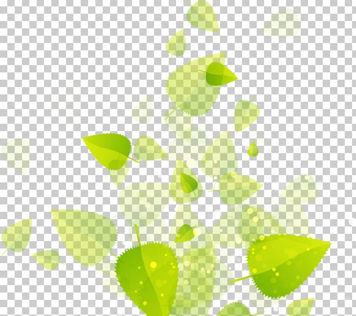 Leaf EPA Safer Choice Information PNG, Clipart, Branch, Editing, Green, Idea, Information Free PNG Download