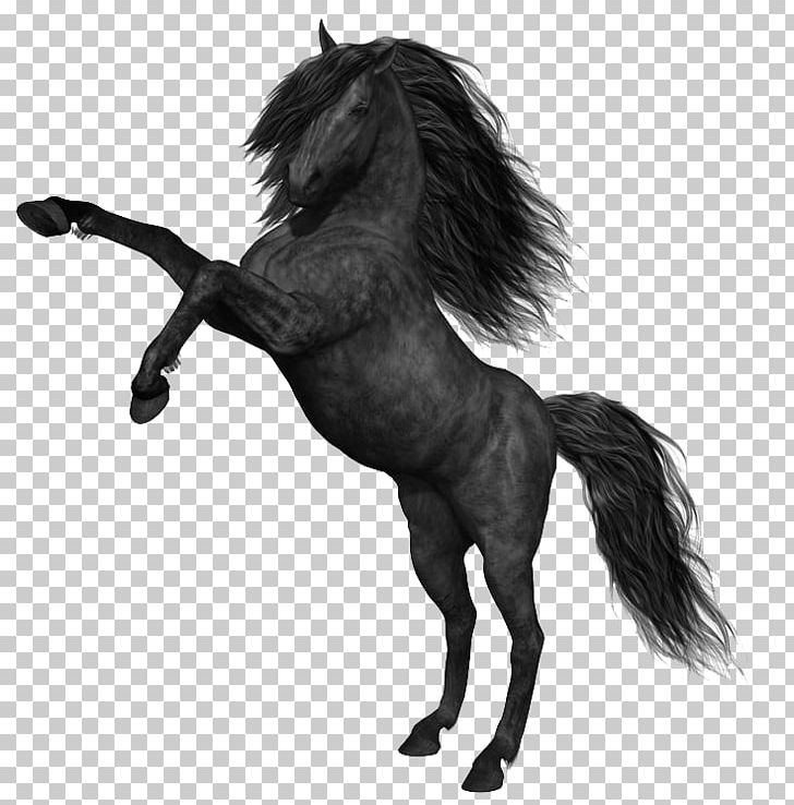 Mustang Black PNG, Clipart, Bay, Black, Black And White, Cars, Display Resolution Free PNG Download