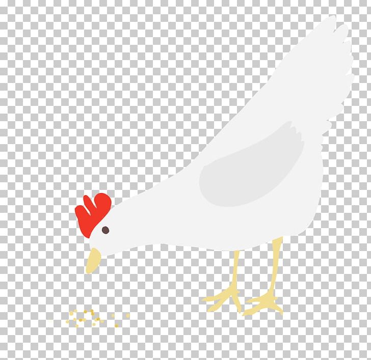 Rooster Chicken Duck PNG, Clipart, Animal, Animals, Beak, Bird, Chicken Free PNG Download