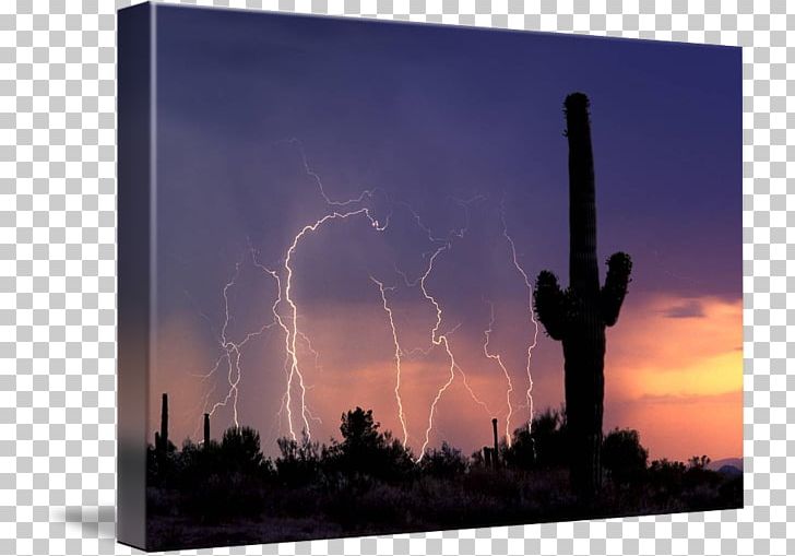 Sonoran Desert Sky Arizona Landscape Energy PNG, Clipart, Arizona, Cactaceae, Cloud, Desert, Energy Free PNG Download