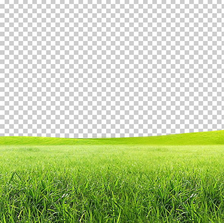 Born To Grow Lawn Icon PNG, Clipart, Born To Grow, Clips, Computer Icons, Computer Wallpaper, Creative Free PNG Download