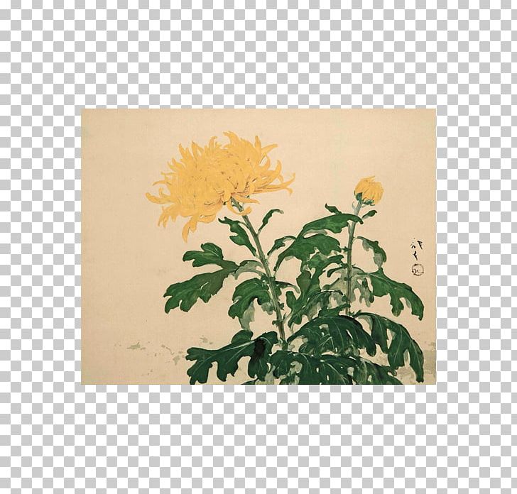 古美術 Hako 2 Painter Chrysanthemum Author PNG, Clipart, Author, Chrysanthemum, Chrysanths, Flora, Floral Design Free PNG Download