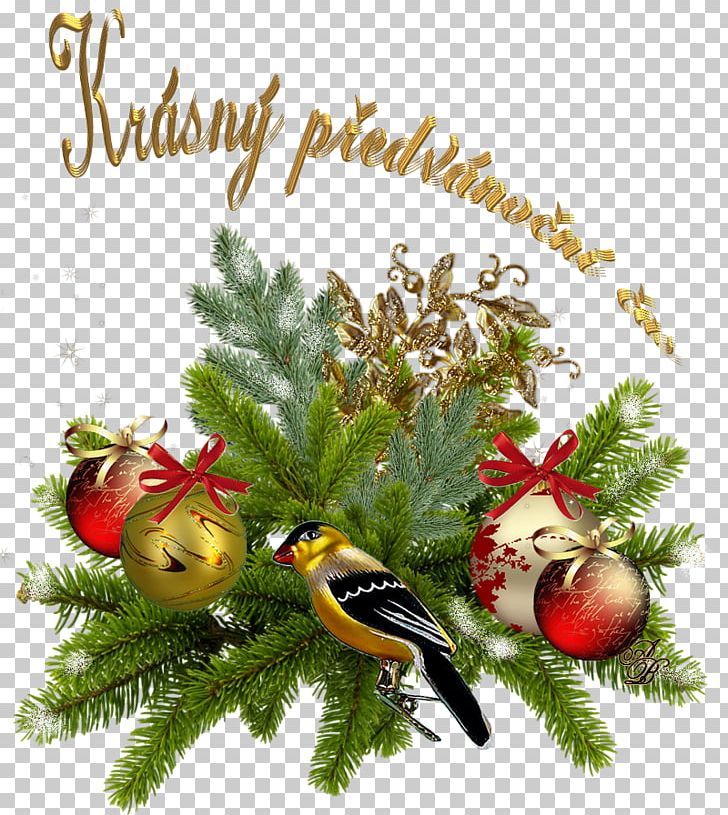 Christmas Ornament Fir Branching PNG, Clipart, Branch, Branching, Christmas, Christmas Decoration, Christmas Ornament Free PNG Download