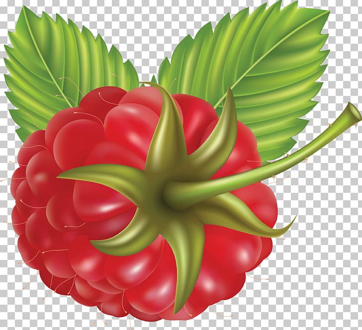 Raspberry PNG, Clipart, Raspberry Free PNG Download