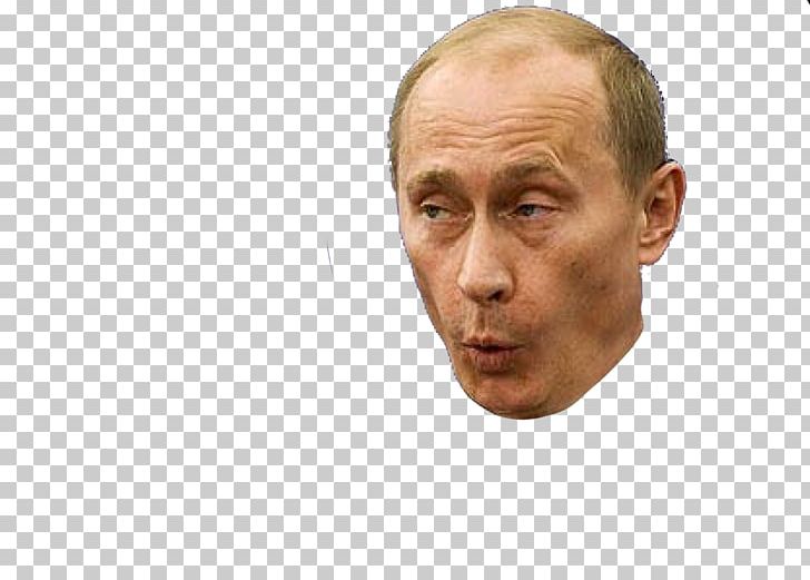 United States Russia Vladimir Putin Face PNG, Clipart, Barack Obama, Celebrities, Cheek, Chin, Computer Icons Free PNG Download