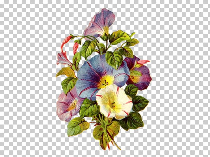 Work Of Art Morning Glory Drawing Painting PNG, Clipart, Annual Plant, Art, Cut Flowers, Decoupage, Floral Design Free PNG Download