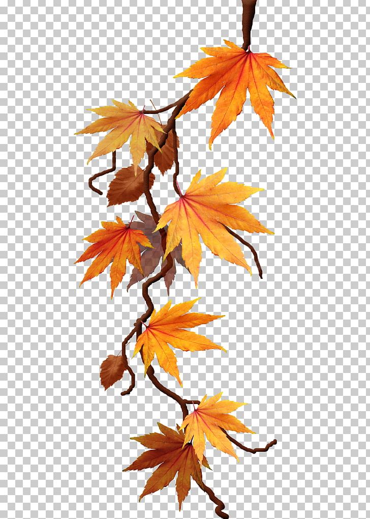 Data Compression Lossless Compression PNG, Clipart, Autumn, Branch, Data, Deciduous, Desktop Wallpaper Free PNG Download