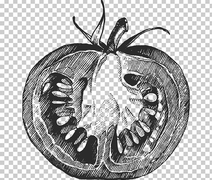 Pizza Tomato Purxe9e Mashed Potato PNG, Clipart, Arrow Sketch, Arthropod, Black And White, Cooking, Drawing Free PNG Download