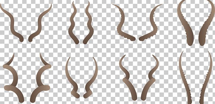 Euclidean Icon PNG, Clipart, Antler, Bear Claw, Cat Claw, Cat Claws, Claw Free PNG Download