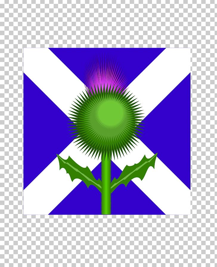 Flag Of Scotland Thistle PNG, Clipart, Energy, Flag, Flag Of Scotland, Flag Of The United Kingdom, Flower Free PNG Download