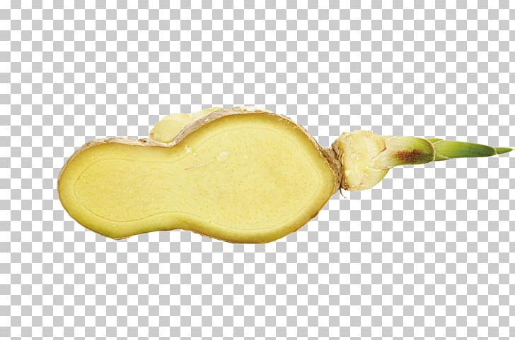 Ginger Gari Root PNG, Clipart, Bud, Close, Closeup, Cong, Cong Jiangsuan Free PNG Download