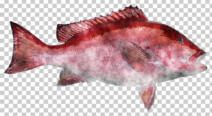 Northern Red Snapper Fish Products Salmon PNG, Clipart, Fauna, Fish, Fishing, Fish Products, Food Free PNG Download