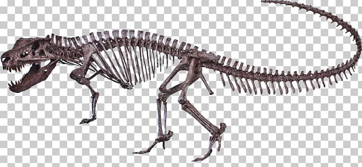 Postosuchus Dinosaur Ornithomimus Reptile Tyrannosaurus PNG, Clipart, Animal Figure, Black And White, Carnivoran, Chinle Formation, Coelophysis Free PNG Download