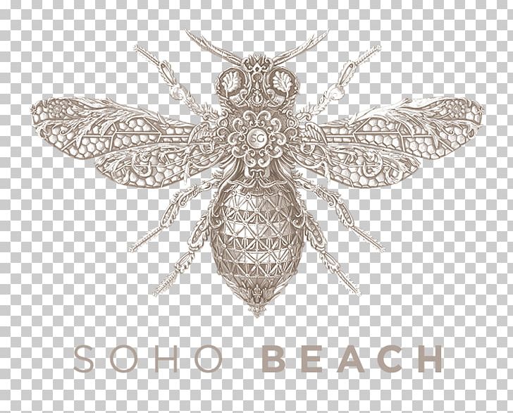 Soho Garden DXB SoHo Beach DXB ANTS 2018 Nightclub PNG, Clipart, Arthropod, Bar, Beach, Bee, Brooch Free PNG Download