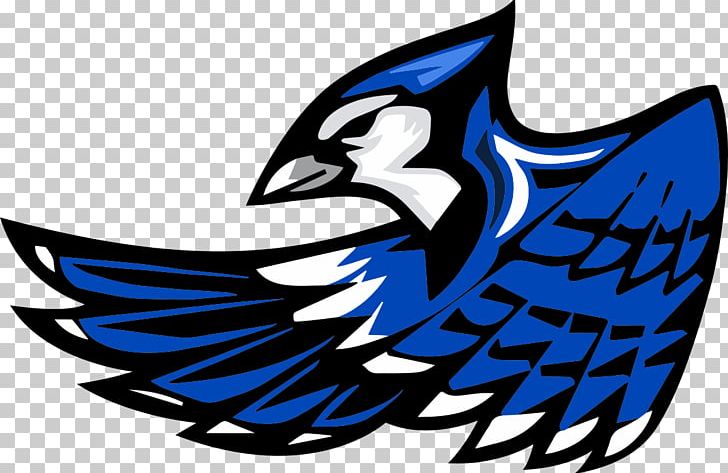 Toronto Blue Jays Snook Middle & High School PNG, Clipart, Artwork, Beak, Bird, Blue Jay, Common Snook Free PNG Download