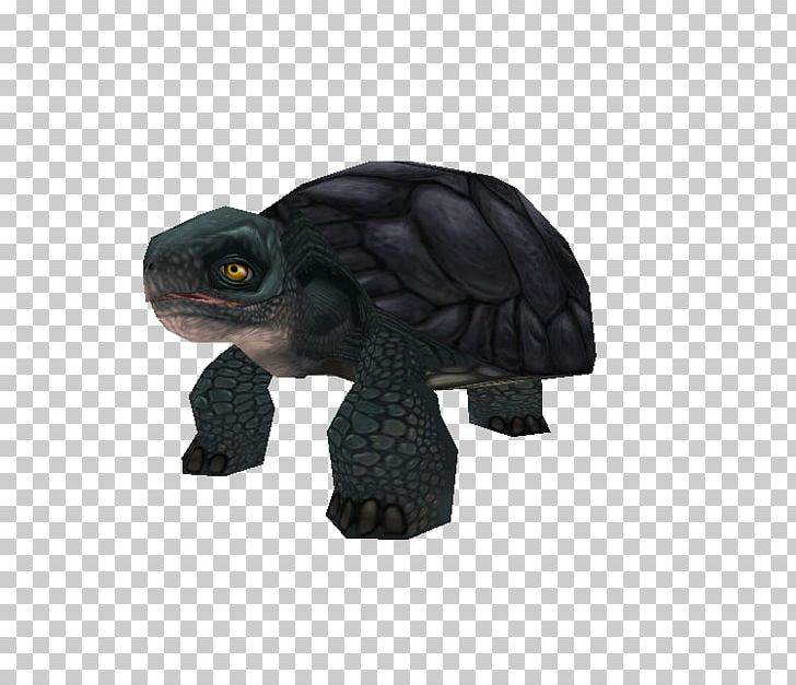 Tortoise Figurine PNG, Clipart, Figurine, Galapagos, Others, Reptile, Tortoise Free PNG Download