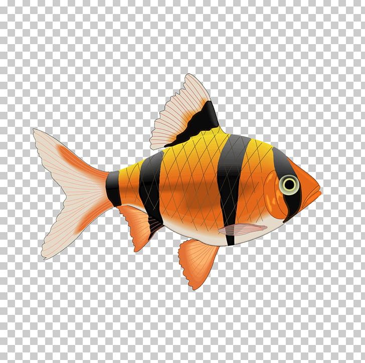 Tropical Fish Tile Tigerfish Decal PNG, Clipart, Animal, Animals, Aquarium, Aquarium Fish, Aquatic Free PNG Download
