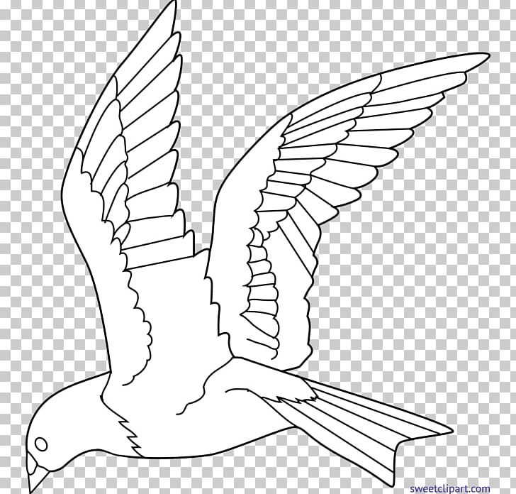 Bird Colouring Pages Coloring Book Flight Drawing PNG, Clipart, Angle, Animals, Area, Art, Artwork Free PNG Download
