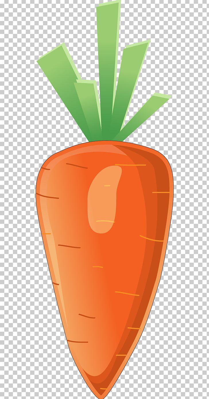 Carrot Euclidean Computer File PNG, Clipart, Carrot, Carrot Cartoon, Carrot Juice, Carrots, Carrot Vector Free PNG Download