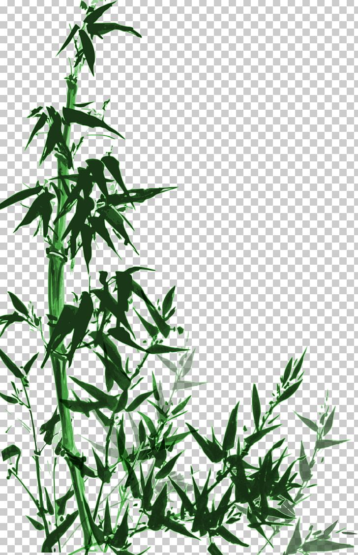 China Bamboo PNG, Clipart, Branch, Chinese Style, Encapsulated Postscript, Grass, Green Tea Free PNG Download