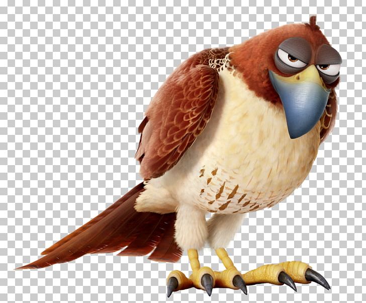 Tiberius Gidget Wikia Red-tailed Hawk PNG, Clipart, Albert Brooks, Animation, Beak, Bird, Bird Of Prey Free PNG Download