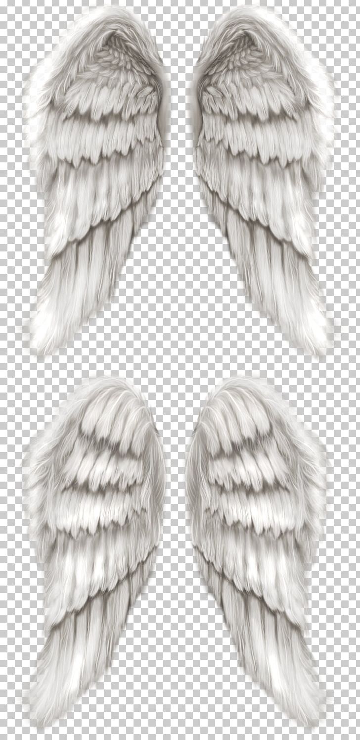 Cherub Angel Wing Angel Wing PNG, Clipart, Angel, Angels Wings, Angel Wing, Angel Wings, Animation Free PNG Download