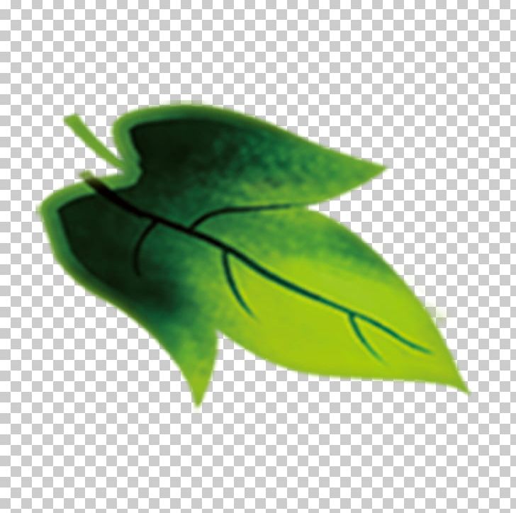 Leaf Green Euclidean PNG, Clipart, Autumn Leaf Color, Banana Leaf, Banana Leaves, Branch, Chart Free PNG Download