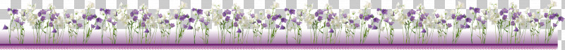 Flower Border Flower Background Floral Line PNG, Clipart, Floral Line, Flower Background, Flower Border, Line, Text Free PNG Download