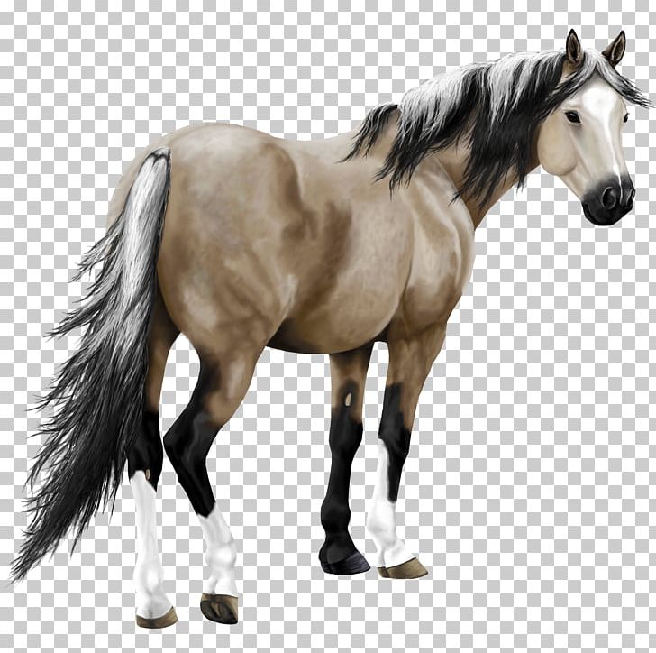 American Paint Horse Arabian Horse Thoroughbred Marwari Horse Howrse PNG, Clipart, Akhalteke, American Paint Horse, Animal Figure, Arabian Horse, Bridle Free PNG Download