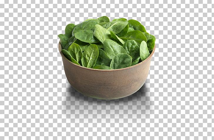 Spinach Vegetarian Cuisine Food Vegetable Meat PNG, Clipart, Banana, Basil, Deep Green, Flowerpot, Food Free PNG Download