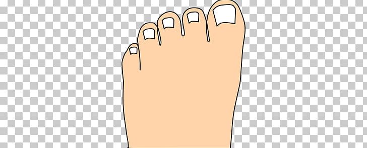 Toe Foot PNG, Clipart, Ankle, Arm, Finger, Foot, Footwear Free PNG Download