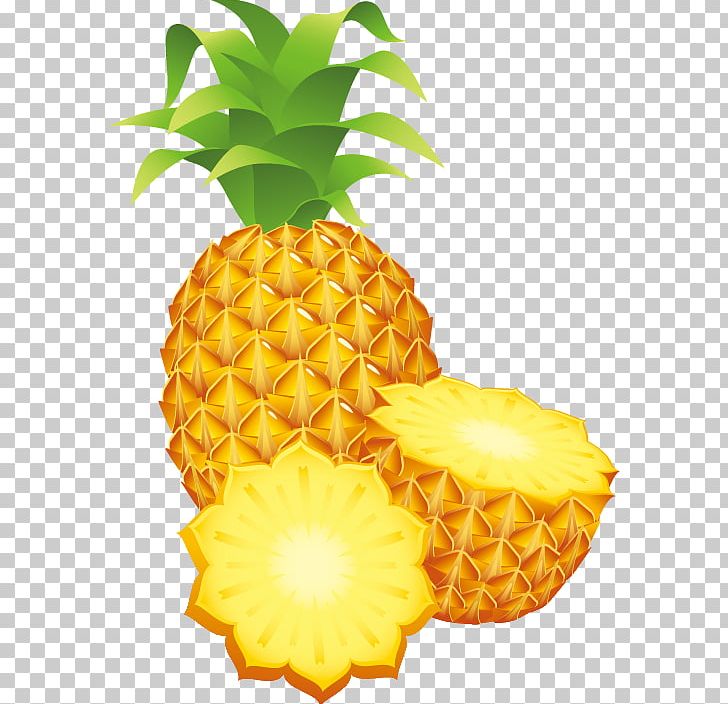 Pineapple Drawing PNG, Clipart, Ananas, Art, Bromeliaceae, Drawing, Food Free PNG Download