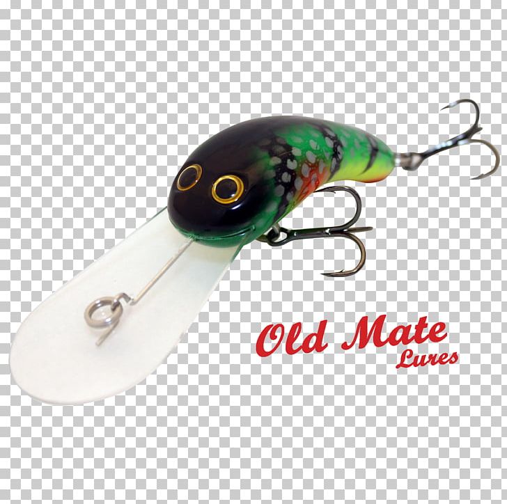 Spoon Lure Spinnerbait Plug Golden Perch Fishing Baits & Lures PNG, Clipart, Australian Green Tree Frog, Bait, European Perch, Fishing, Fishing Bait Free PNG Download